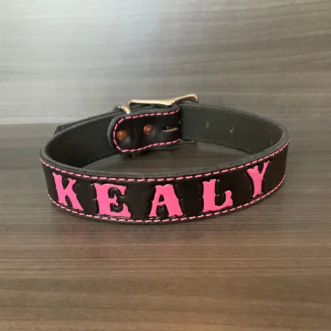 Dog Collar